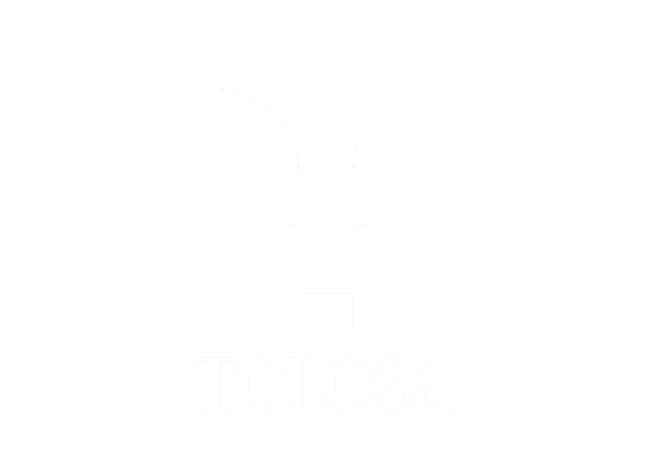 Froga Erabaki Tolosa (joan orrialde nagusira)